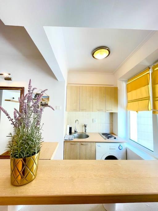 Boutique Apartment In The Bucharest City Center Экстерьер фото